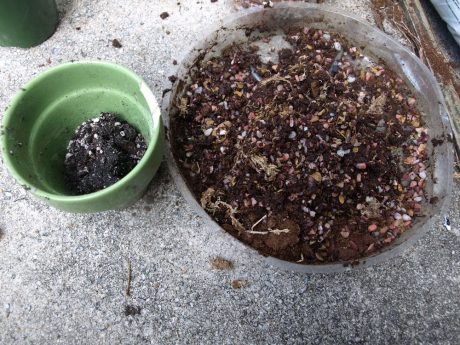 Bought vs. homemade potting soils