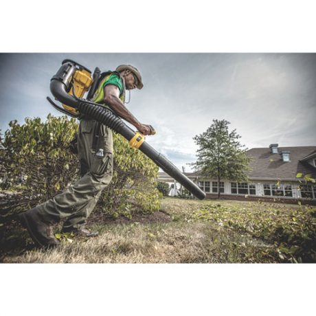 dewalt 40v max outdoor