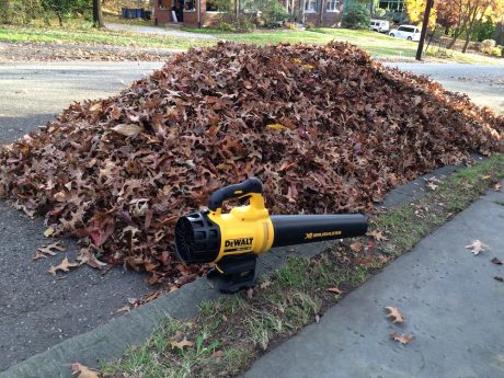 dewalt dcbl720p1
