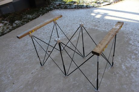 centipede sawhorse