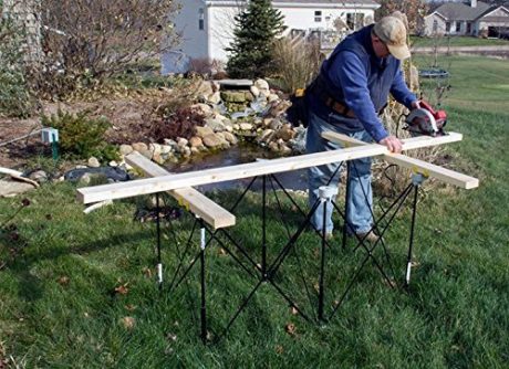 centipede sawhorse