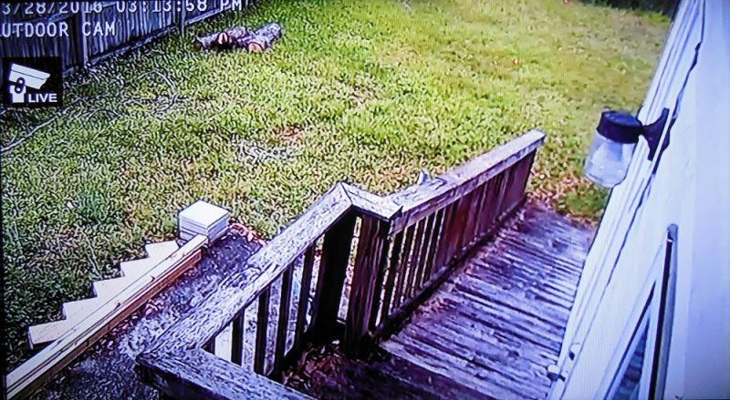 Outdoor cam view