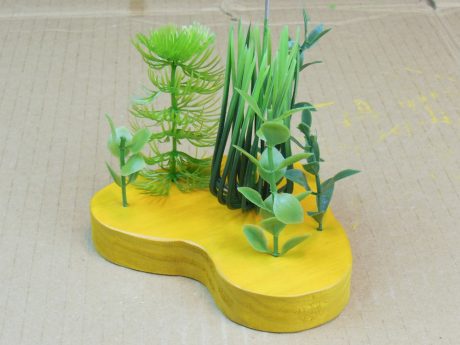 Plants on base