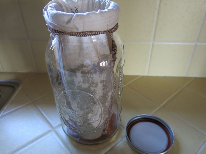 cold brew coffee bloom