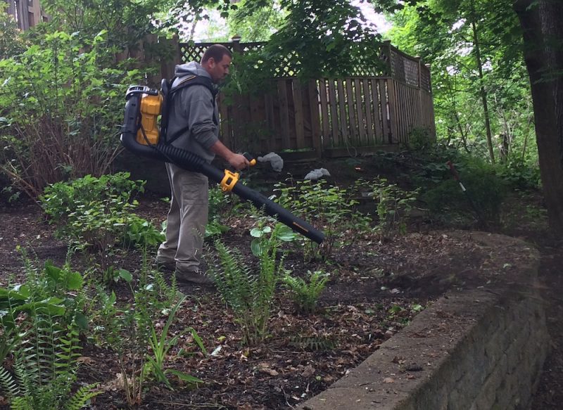 dewalt dcbl590x2