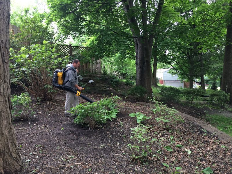 dewalt dcbl590x2