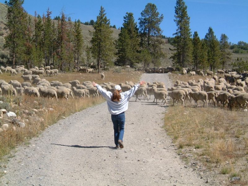 My wife handling rush-hour traffic