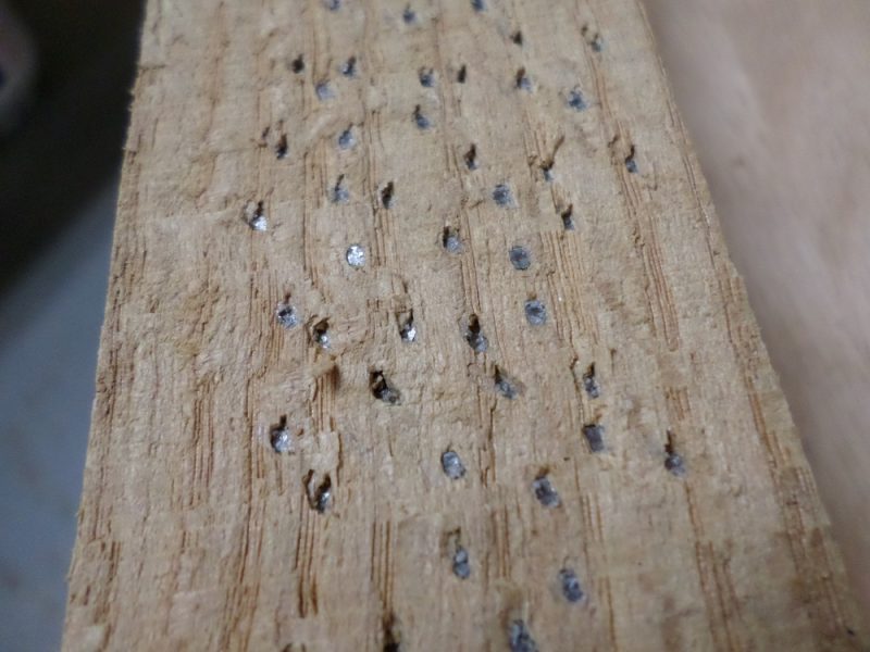 2" brads, 3" oak