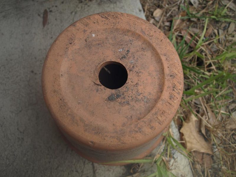 Drainage holes are a must!