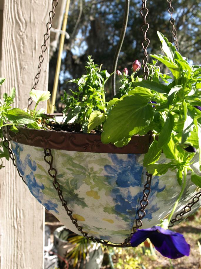 Hang 10 How to Make A Hanging Basket Home Fixated