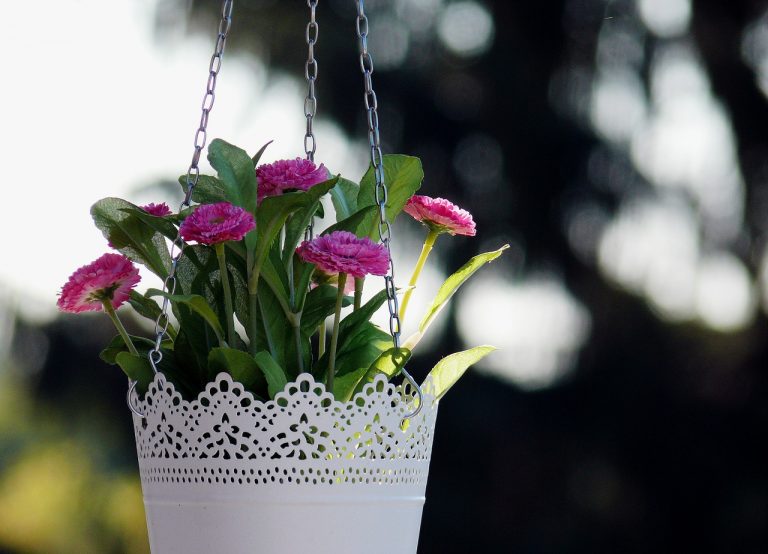 Hang 10 How to Make A Hanging Basket Home Fixated