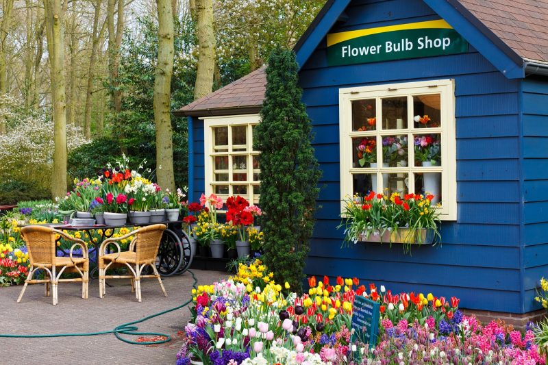 bulb container
