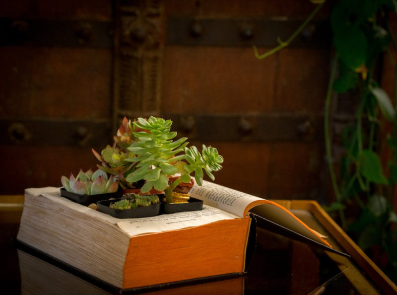 books by the foot