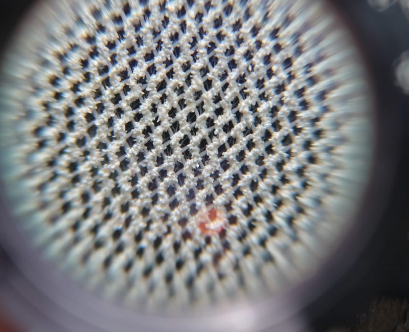 Macro