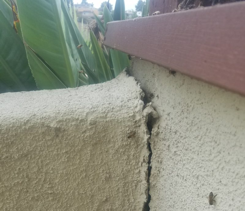 bee hive entrance