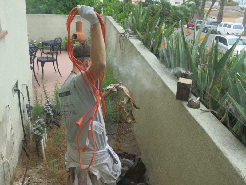 live bee removal prep