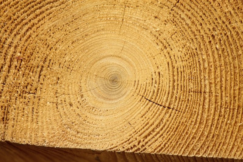 Stress cracks from drying