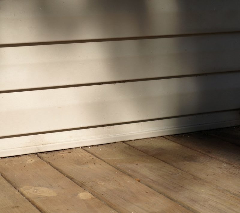 a blank slate for a small space garden