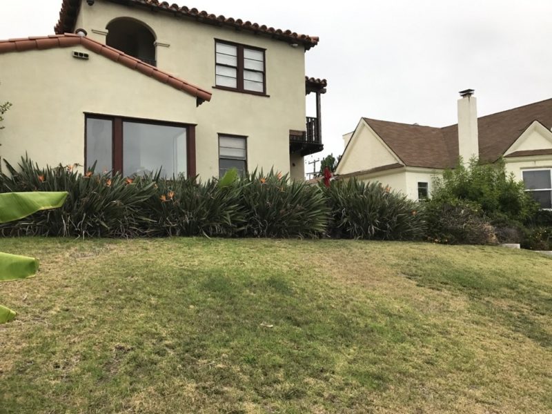 yard before