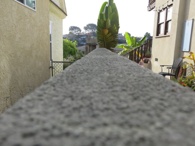 old wall top