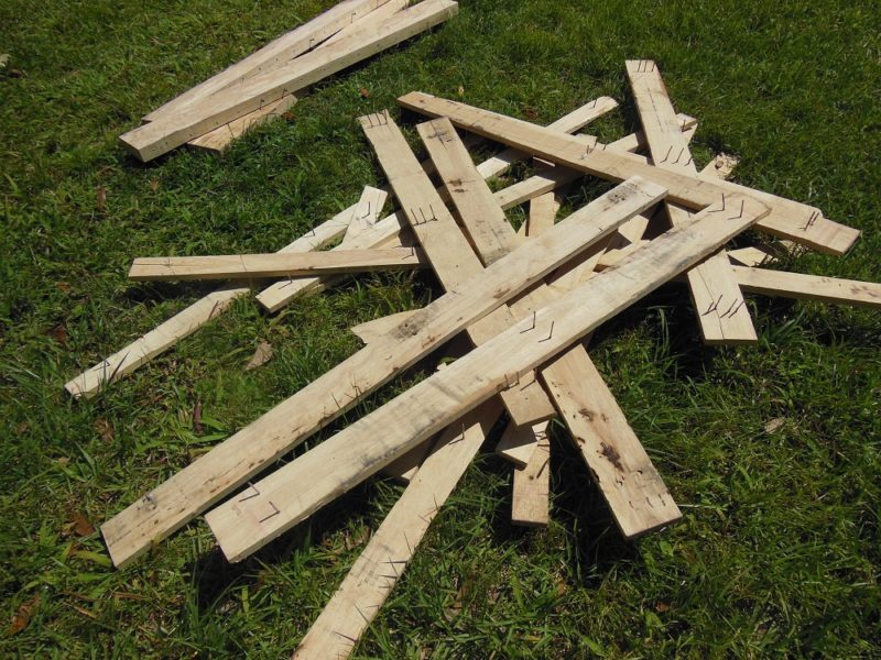 Pallet cactus