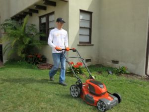 spring lawn care