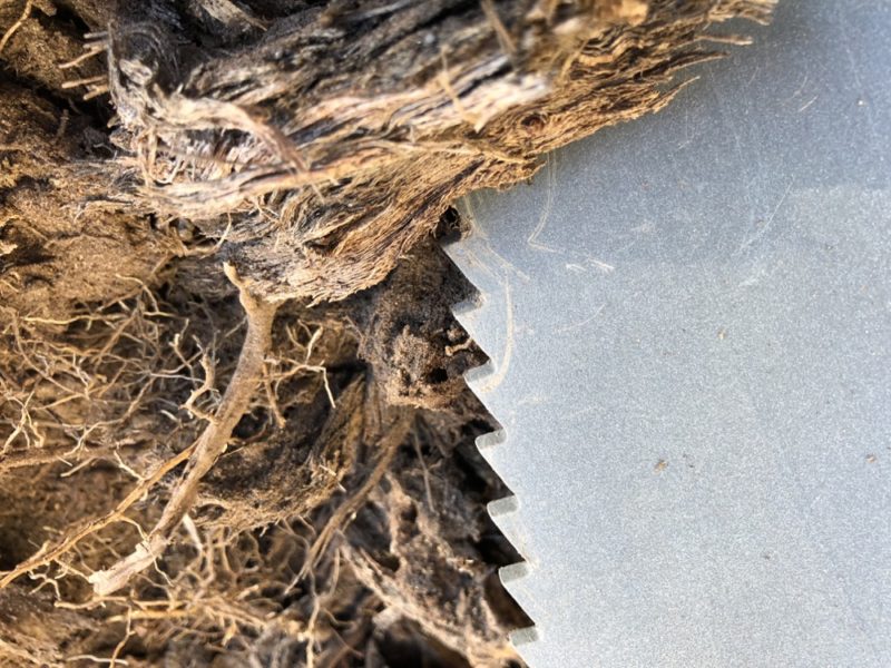 root slayer shovel teeth