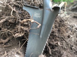 root slayer shovel