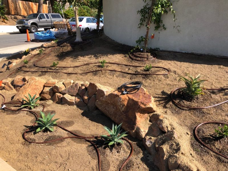 testing the drip irrigation