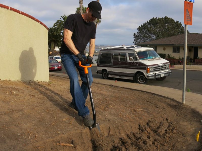 excavation in action