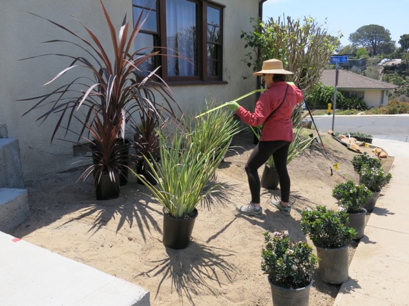 spotting plant locations