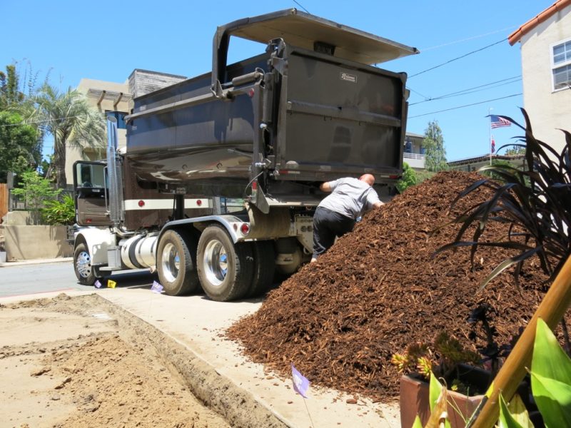 dump trucks