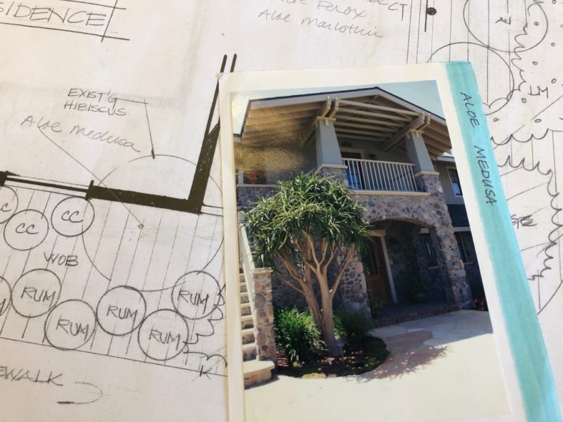 landscape design notes