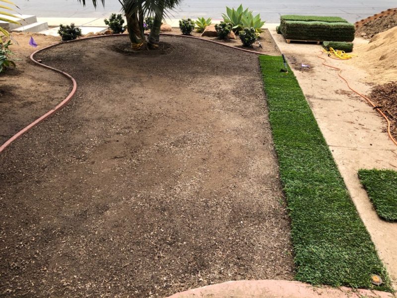 how to lay sod