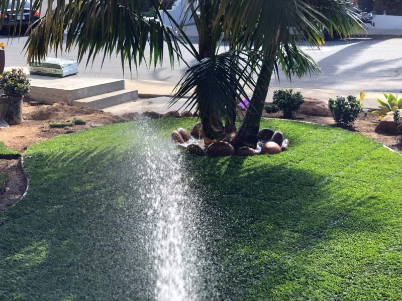 watering the sod