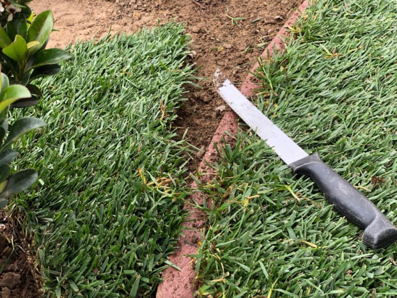 sod knife