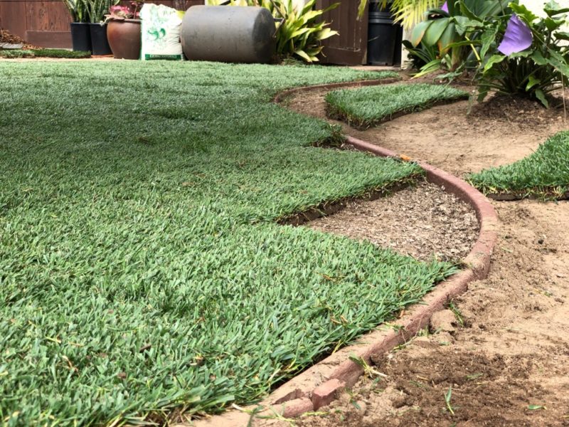 laying sod