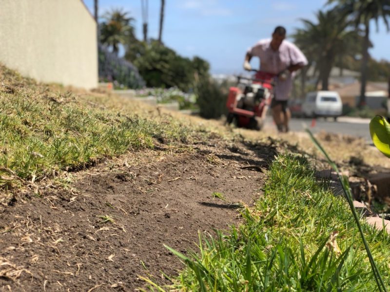 sod removal
