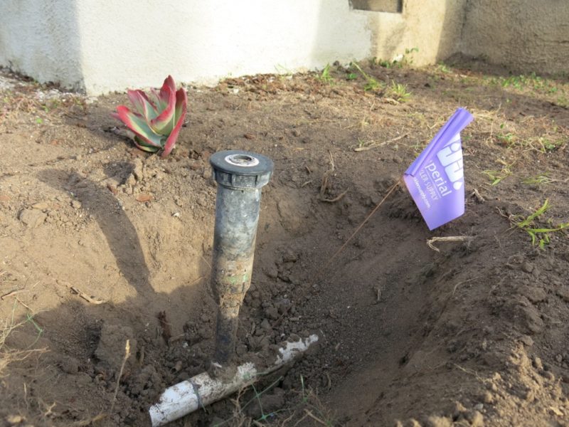 exposing sprinkler pipes