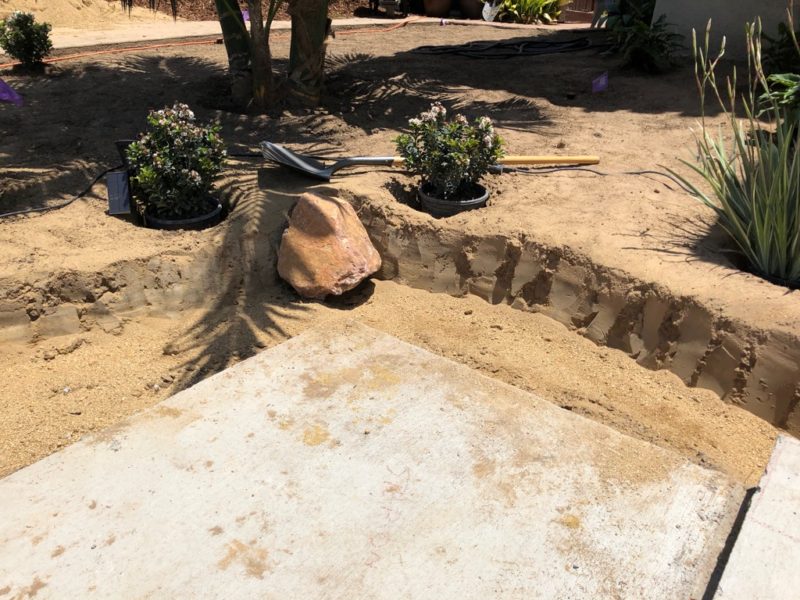 small retaining wall