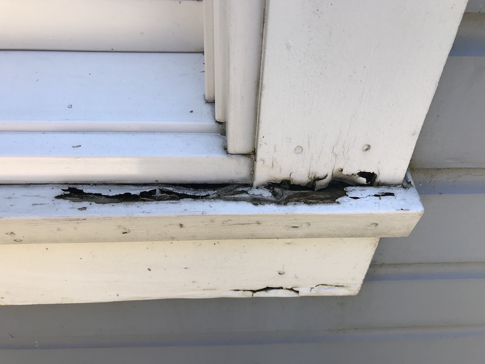 How To Fix A Rotted Windowsill And What Lies Beneath