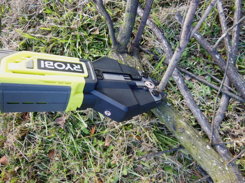 Branching out