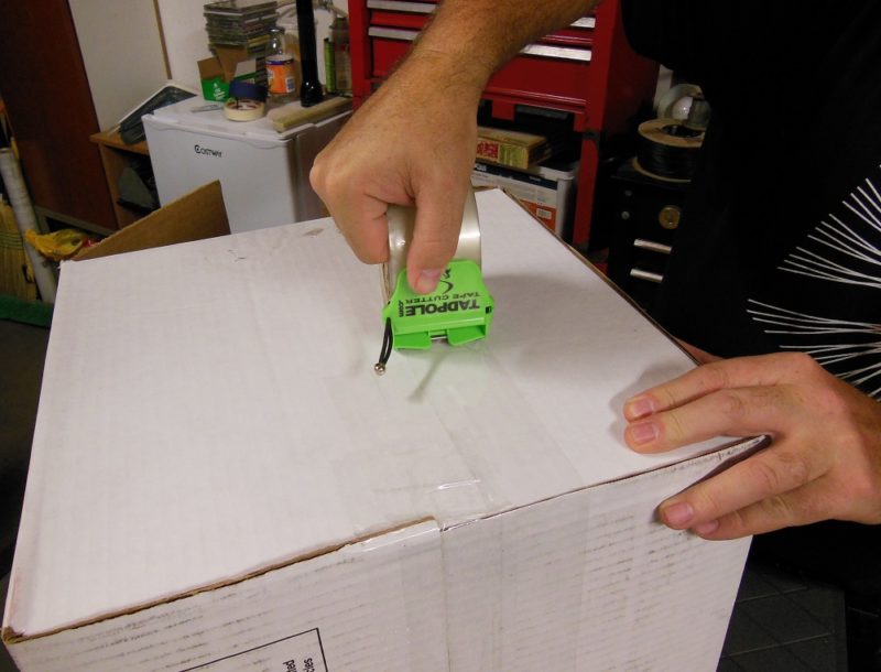 Tadpole on packing tape