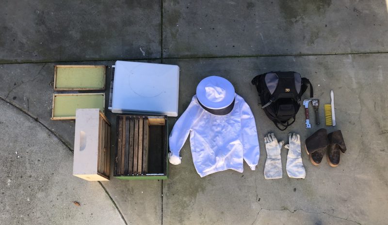 essential beekeeping equipment