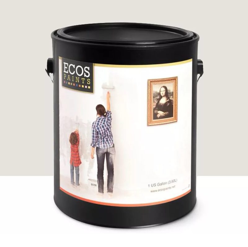 ECOS Paint