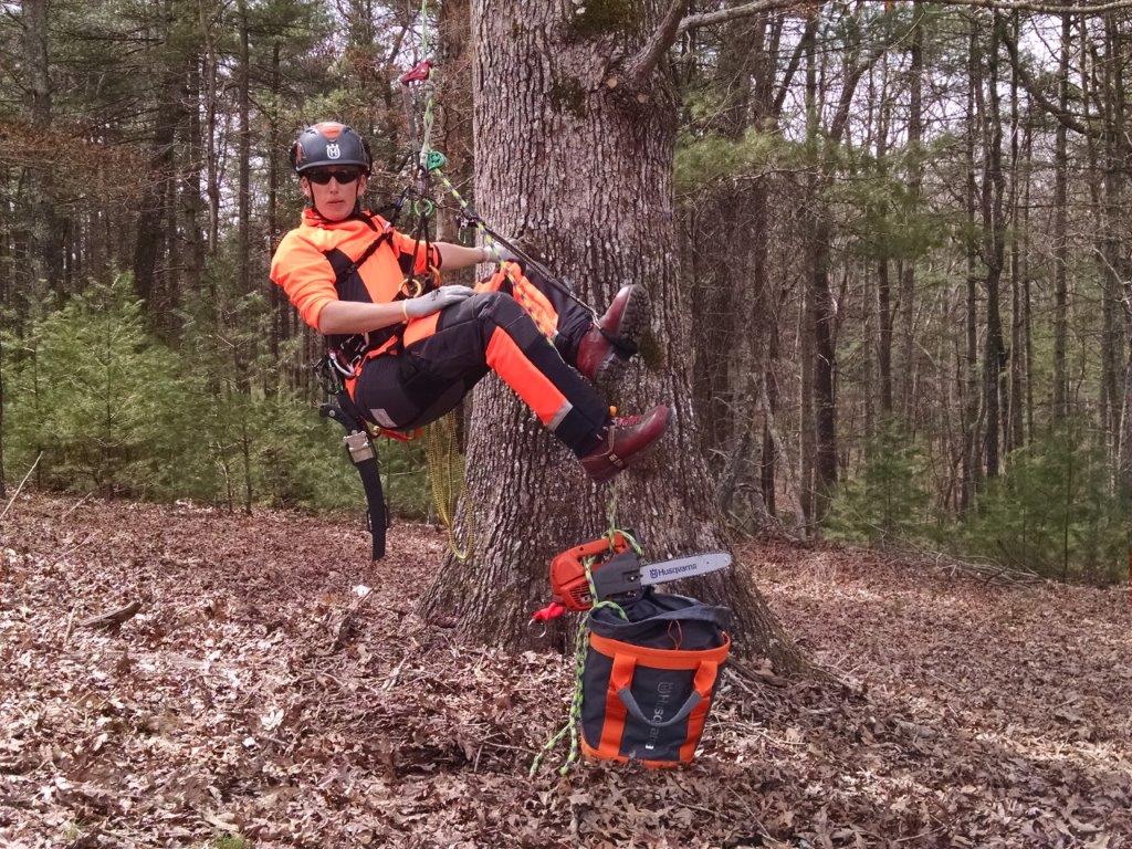 alpinista de árvore pendurado na corda com serra de corrente