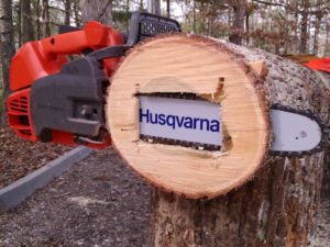 chain saw in log