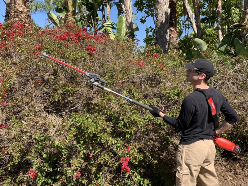 milwaukee pole hedge trimmer