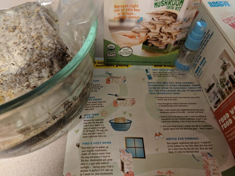 assembling the mushroom kit