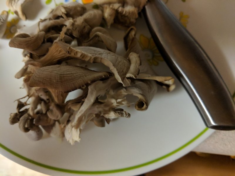 oyster mushrooms